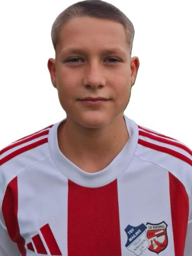 Ajdin Hodzic