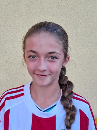 Sina Holhut
