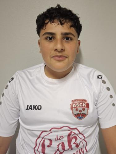 Hamza Alnemer
