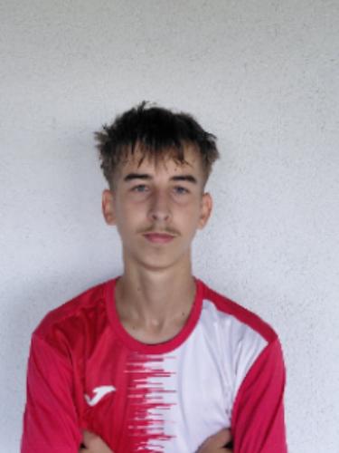 Noah Mantel