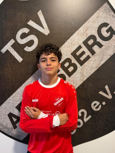 Arda Gül