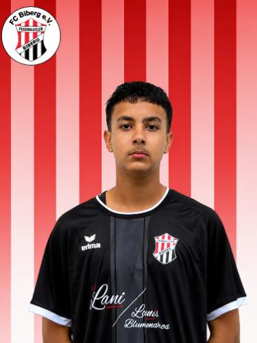 Farhan Hadawal