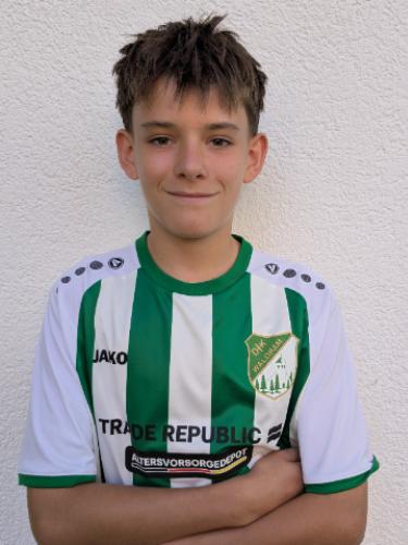 Avatar Bild für Leo Nussbaumer