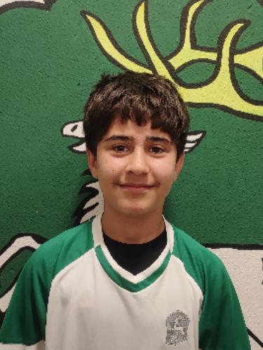 Mohammad Ziarmal