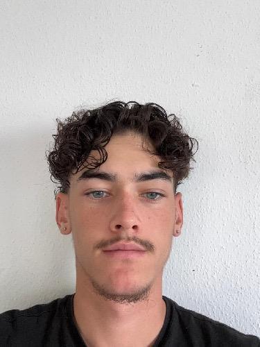 Niko Bilogrivic