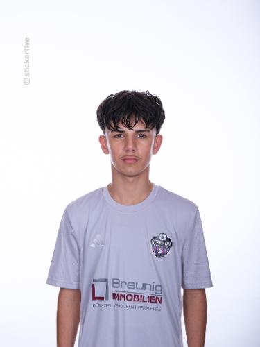 Mohamad Habibzada