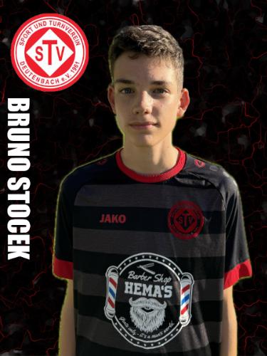 Avatar Bild für Bruno Stocek