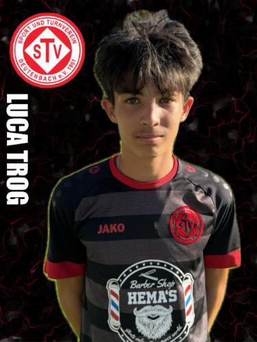 Avatar Bild für Luca Trog