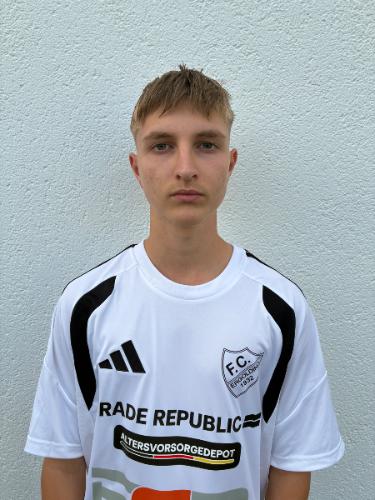 Avatar Bild für Anton Hones