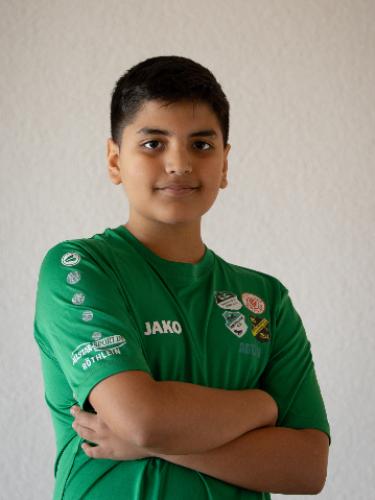 Artin Lashkari