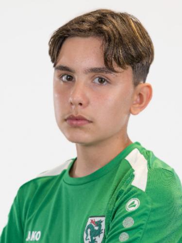 Denis Dzuzolanovic