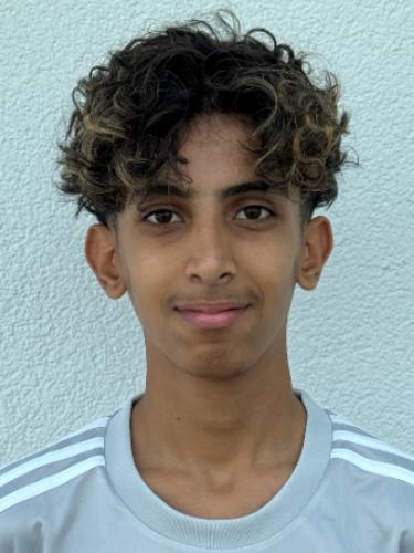 Avatar Bild für Amer Aarsan