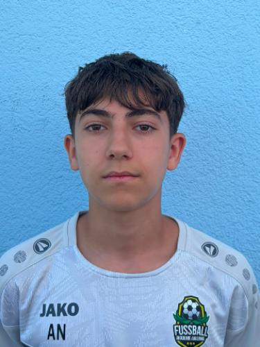 Amil Al Shaaya