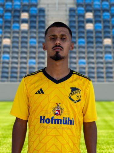 Alen Patak