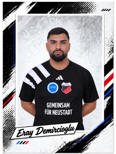 Eray Demircioglu