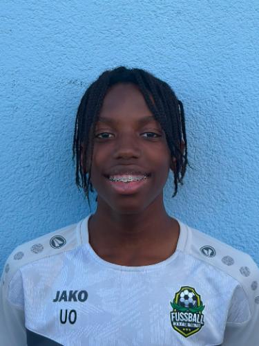 Ugo Okonkwo