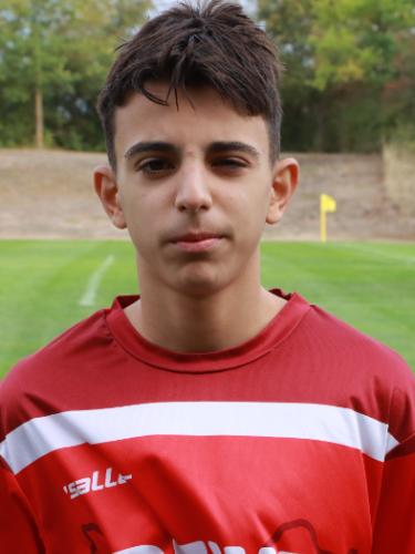 Sergen Saril