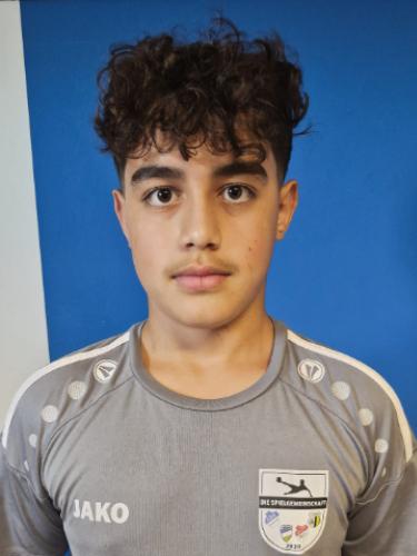 Abdulhamid Alzein