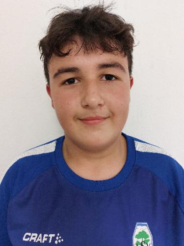 Ognjen Lujic