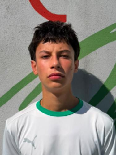 Ali Shabib