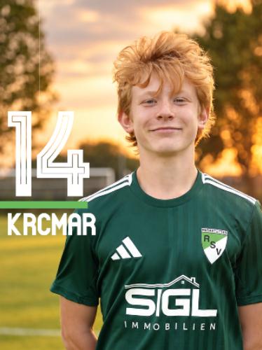 Michael Krcmar