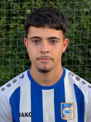 Leon Begovic Bliznac