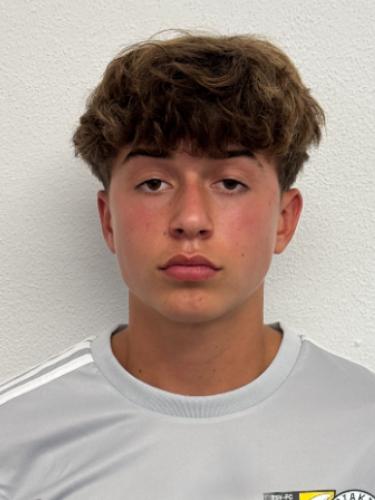 Fabian Landauer