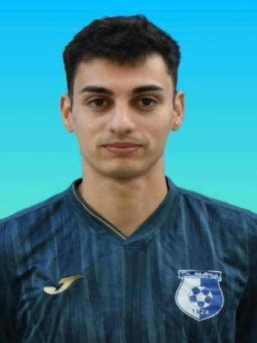 Aleksandar Mitrovic