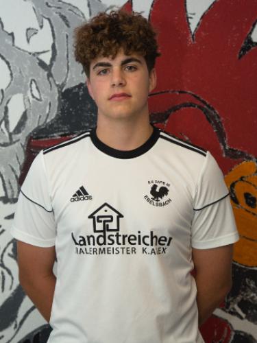 Fabian Schöpplein