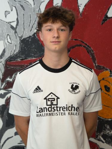 Emil Andree