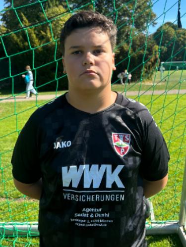 Dominik Ivankovic