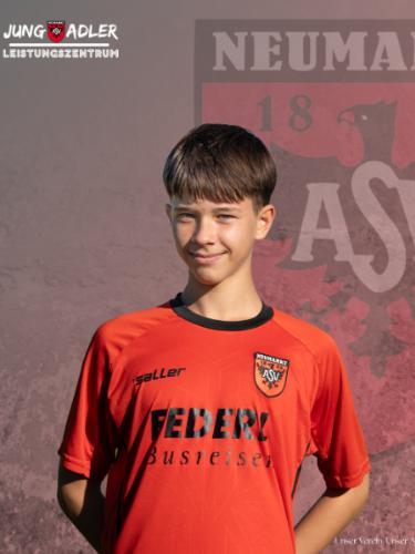Avatar Bild für Gabriel Schönlein