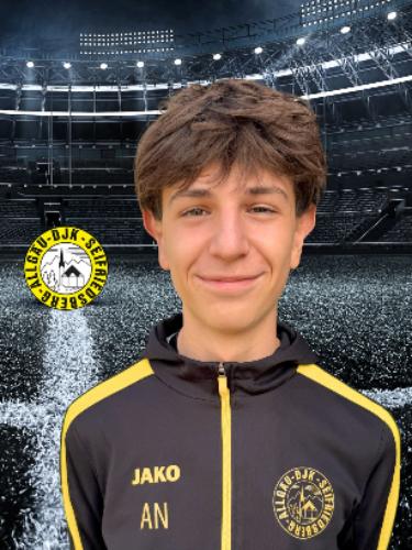 Avatar Bild für Ardit Niepmann