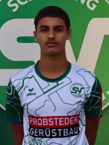 Simon Alnaser