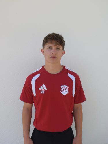 Noah Waldmann