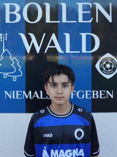 Avatar Bild für Ahmad Mohammadi