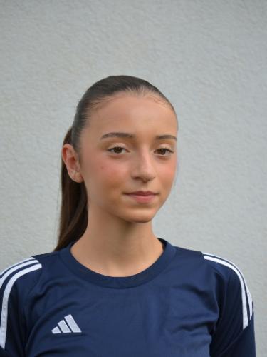 Vesa Emini