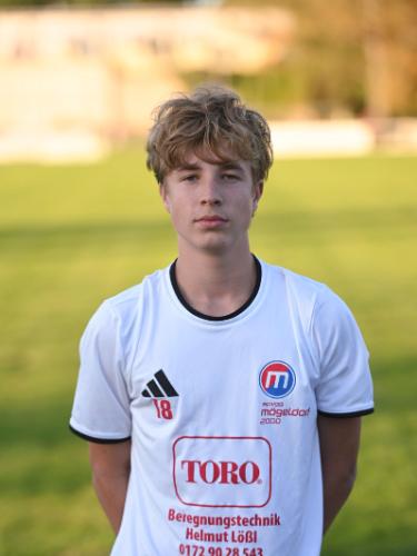 Luis Hupfer