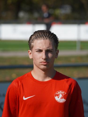 Ahmed Ajdinovic
