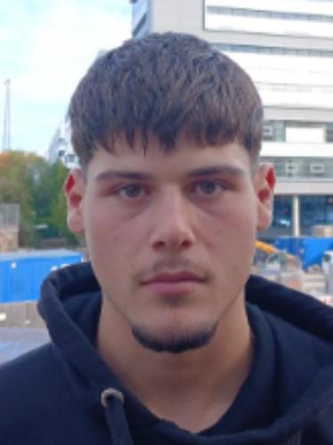 Alexandros Gavrilidis