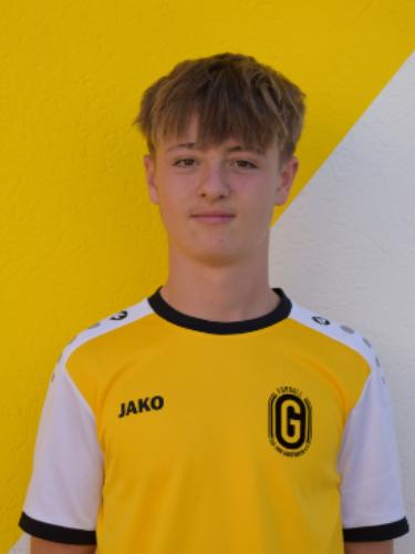 Fabian Miesl