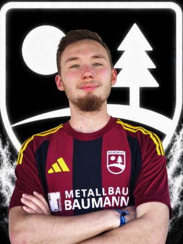Avatar Bild für Niklas Hirvonen