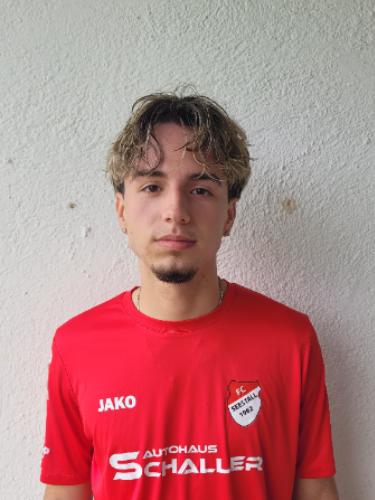 Dominik Papadopulos
