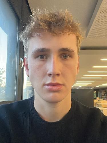 Henri Sarres