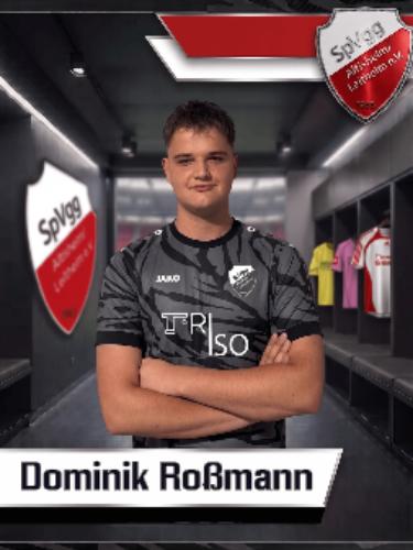 Dominik Roßmann