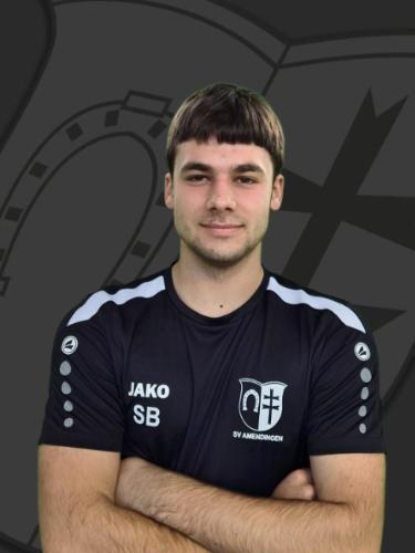 Sasa Bajic