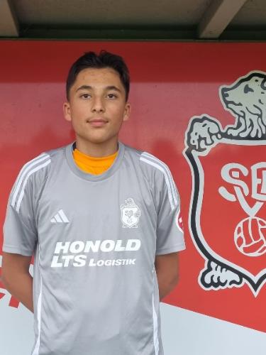 Mohammad Sekandari